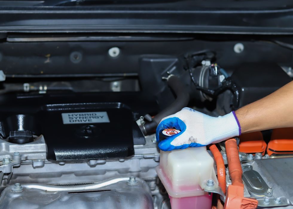 Vehicle maintenance detail